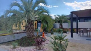 ヤシを中心にしたリゾートガーデン｜開放感あふれる庭づくり