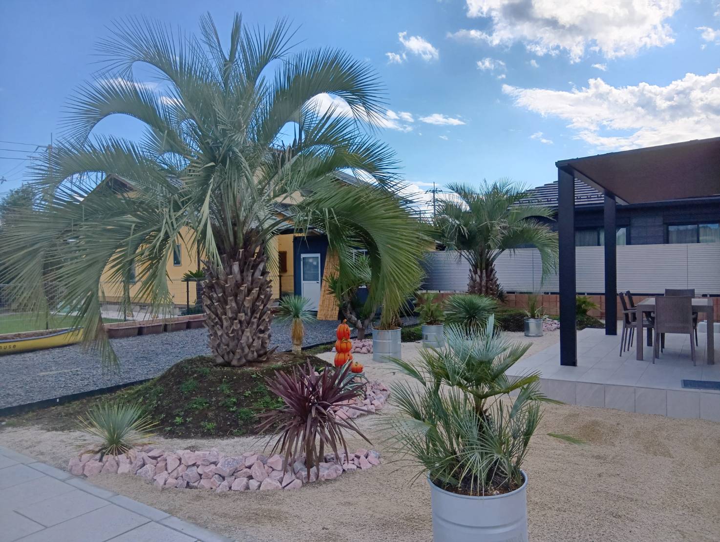 ヤシを中心にしたリゾートガーデン｜開放感あふれる庭づくり